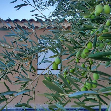 Reve En Luberon Villa Lauris Екстериор снимка